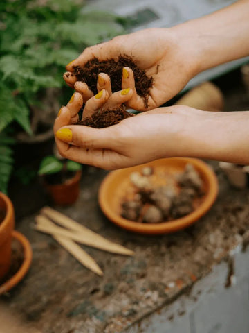 Plant Care